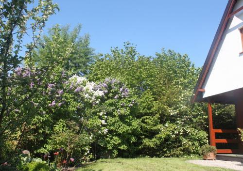DOMKI STANDARD (nr 2)