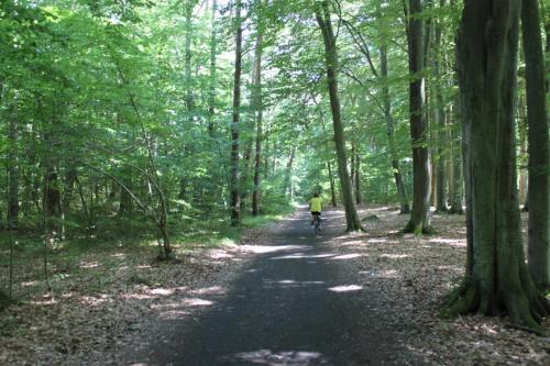 Otoczenie Koralia (19)